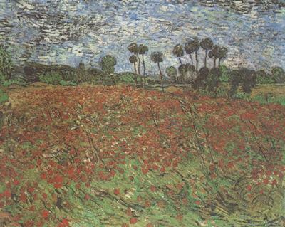 Field with Poppies (nn04), Vincent Van Gogh